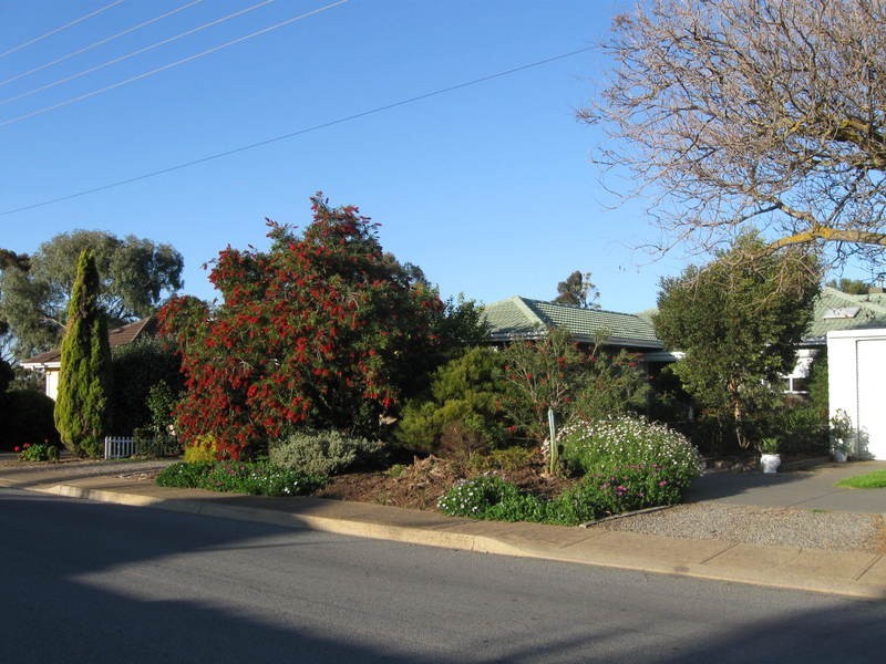 31 Highwray Drive, Morphett Vale SA 5162