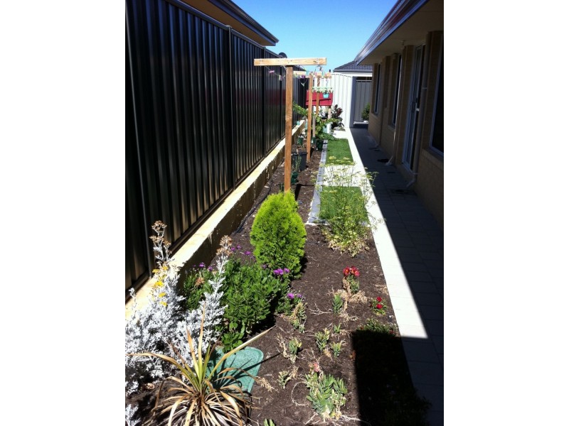 19 Sawtooth Bend, Banksia Grove WA 6031