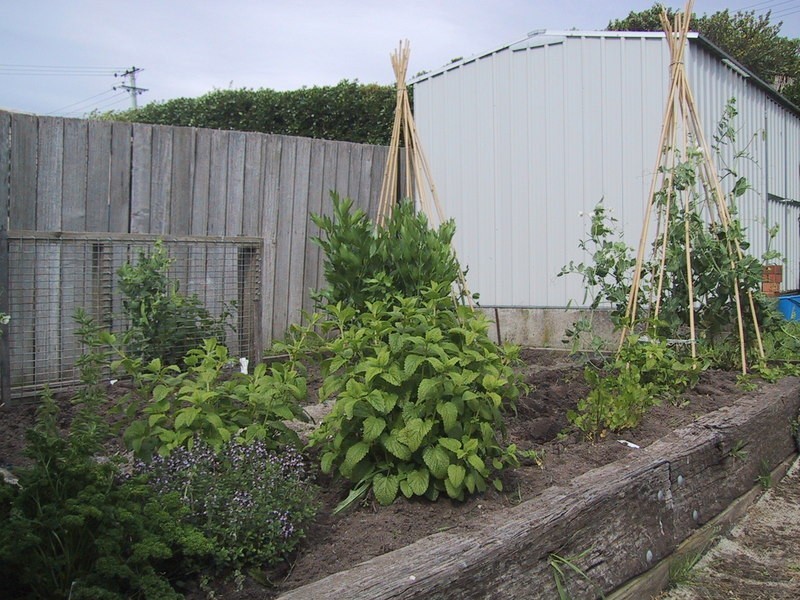 17 Ashbourne Grove, West Moonah TAS 7009