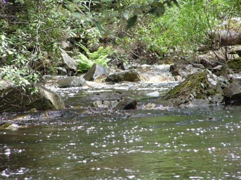 128 Snug Tiers Road, Snug TAS 7054