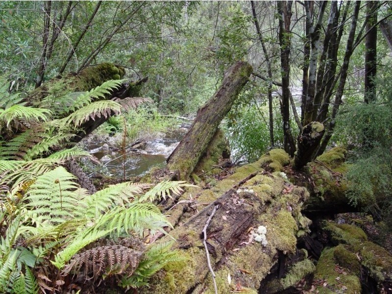 128 Snug Tiers Road, Snug TAS 7054