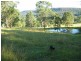 2509 Sherwood Creek Rd Glenreagh, Coffs Harbour NSW 2450