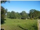 2509 Sherwood Creek Rd Glenreagh, Coffs Harbour NSW 2450