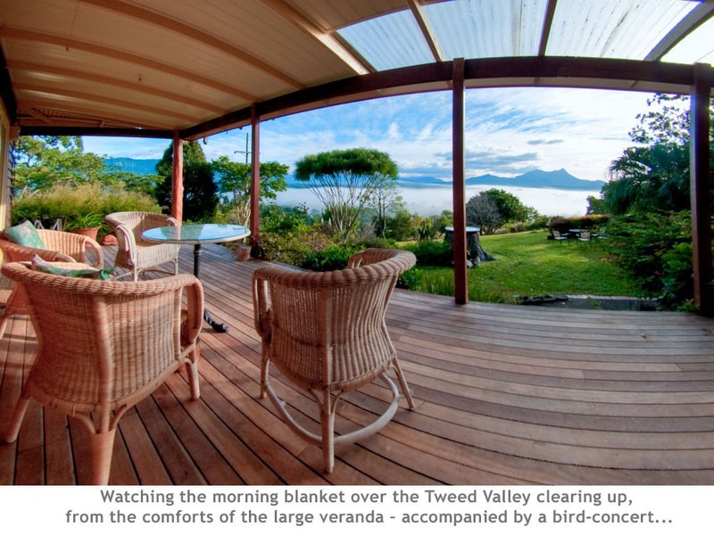 Mount Burrell NSW 2484