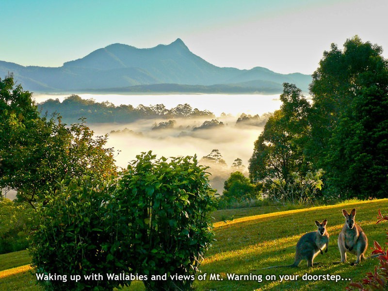 Mount Burrell NSW 2484