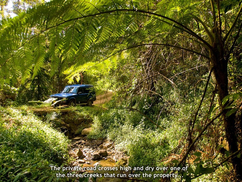 Mount Burrell NSW 2484