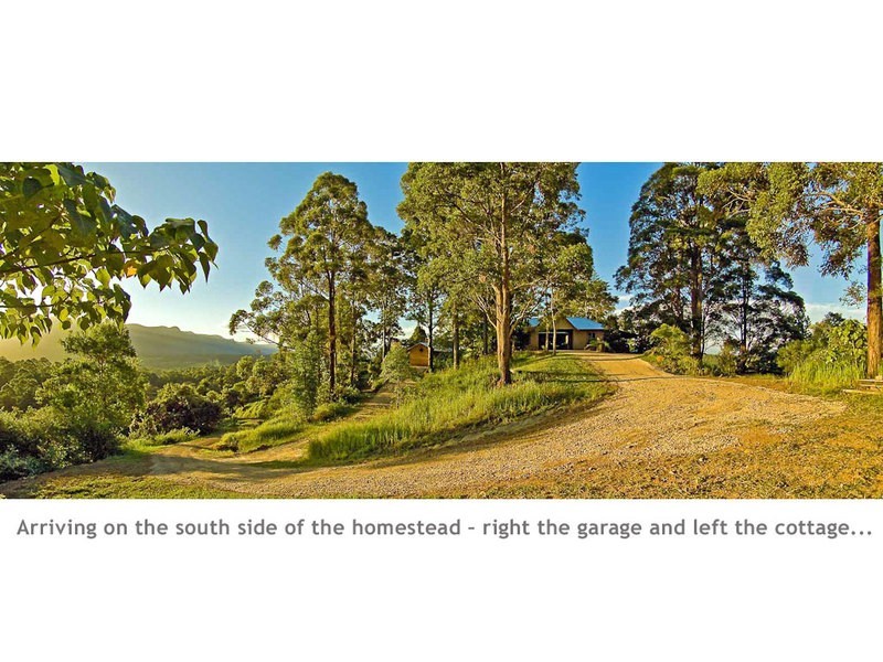 Mount Burrell NSW 2484