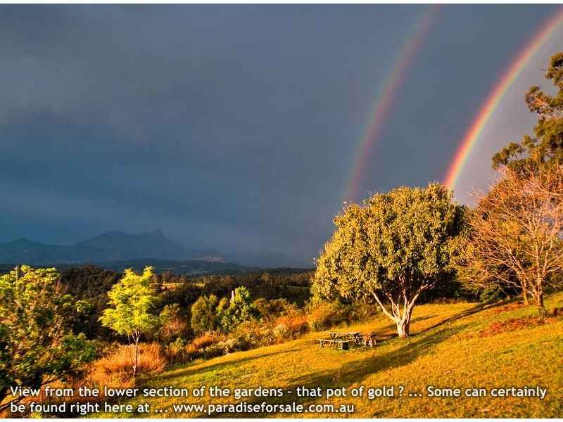 Mount Burrell NSW 2484