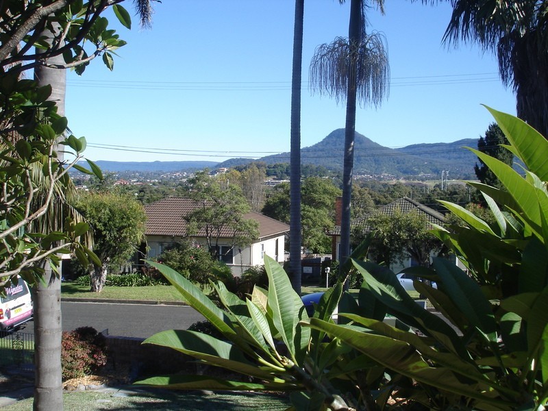 3 Marceau Street, Mount Saint Thomas NSW 2500