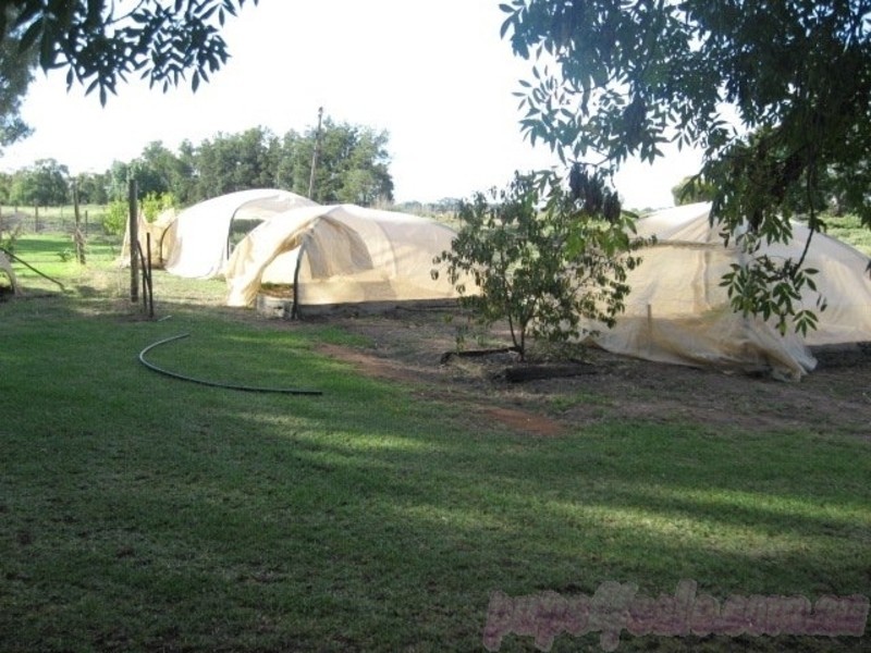 8 Maher Drive, Swan Hill VIC 3585