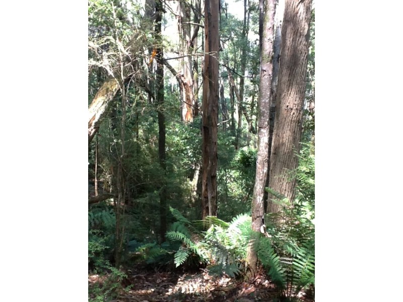 235 Coupe Road, Vesper VIC 3833