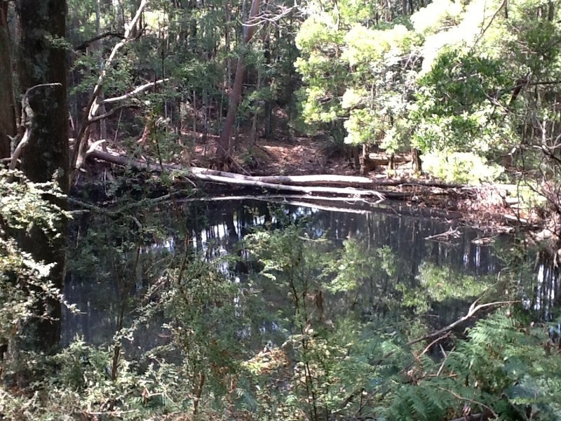 235 Coupe Road, Vesper VIC 3833