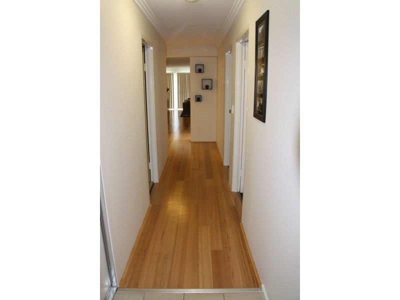 8/1178 Pacific Highway, Pymble NSW 2073