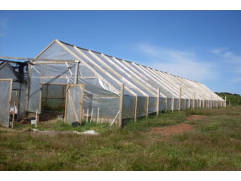 1 Little Quiggins St, Waratah TAS 7321