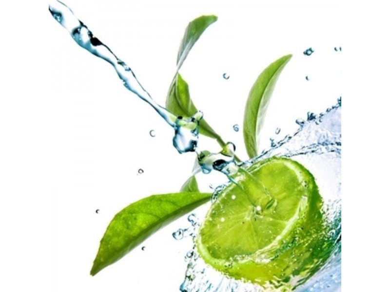 99 West Bulga Road, Elands NSW 2429