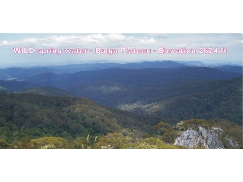 99 West Bulga Road, Elands NSW 2429