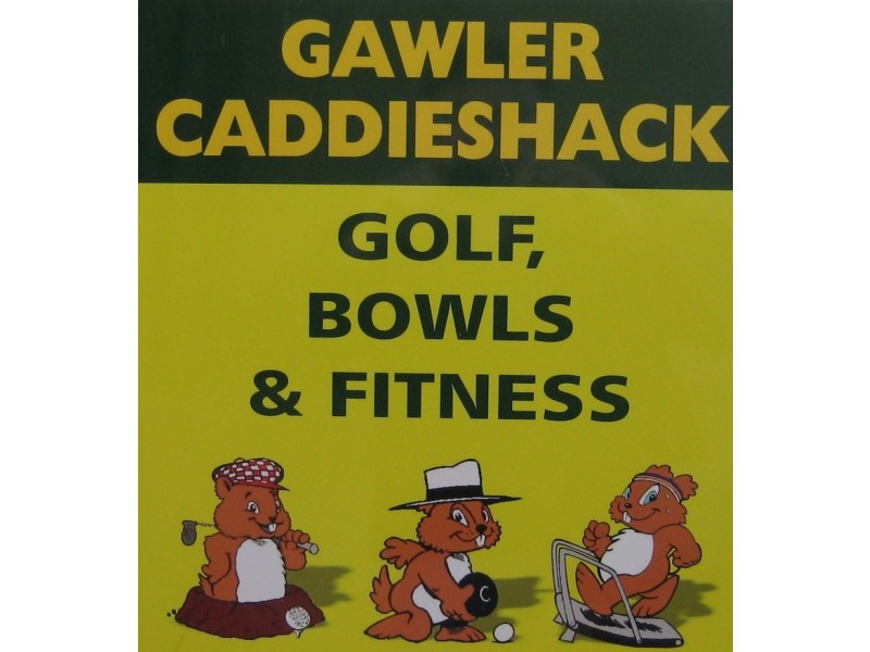 14 Dieckmann Drive, Gawler East SA 5118