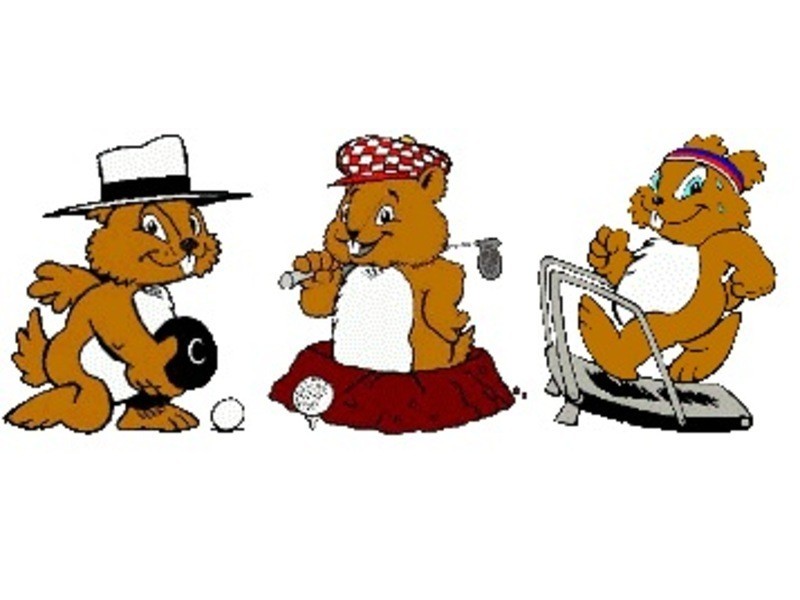 14 Dieckmann Drive, Gawler East SA 5118