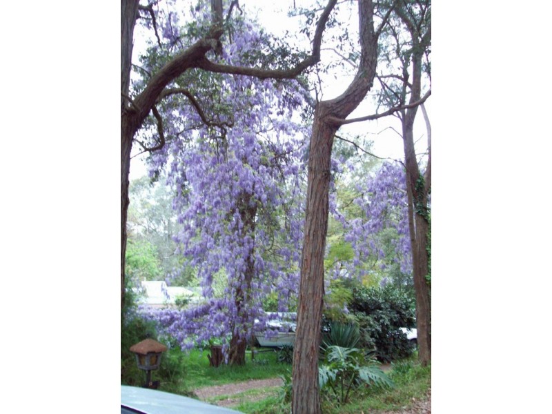 10 Hunt Street, Glenbrook NSW 2773