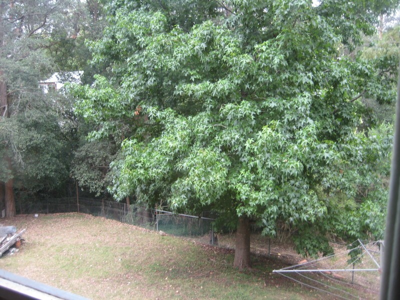 10 Hunt Street, Glenbrook NSW 2773