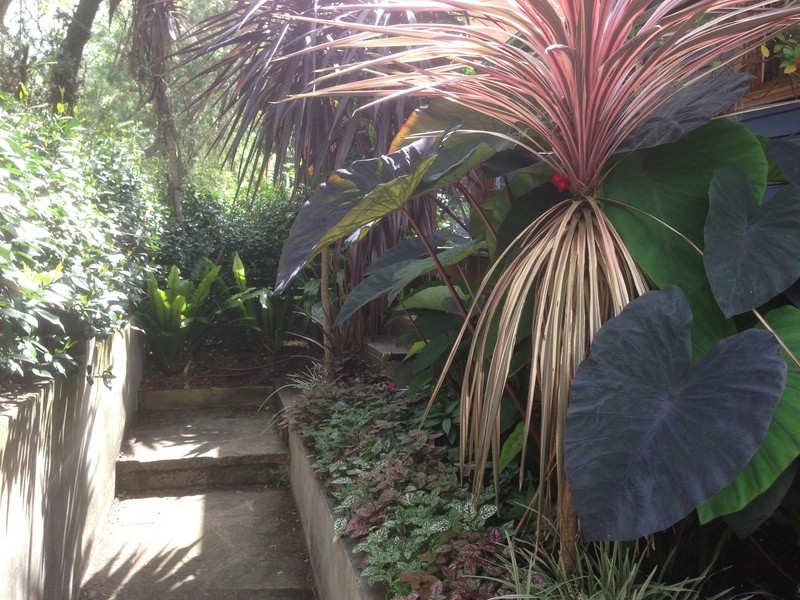 50 Pritchard Street, Annandale NSW 2038