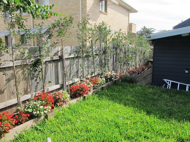 50 Pritchard Street, Annandale NSW 2038