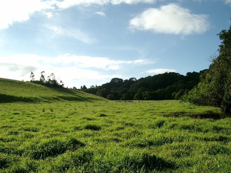 Rural Number 1108 Millaa Malanda Road, Malanda QLD 4885