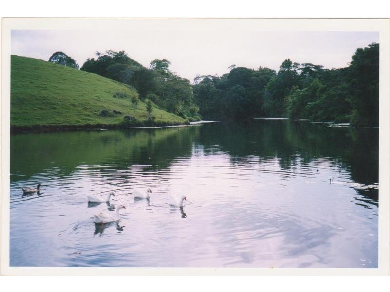 Rural Number 1108 Millaa Malanda Road, Malanda QLD 4885