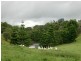 Rural Number 1108 Millaa Malanda Road, Malanda QLD 4885