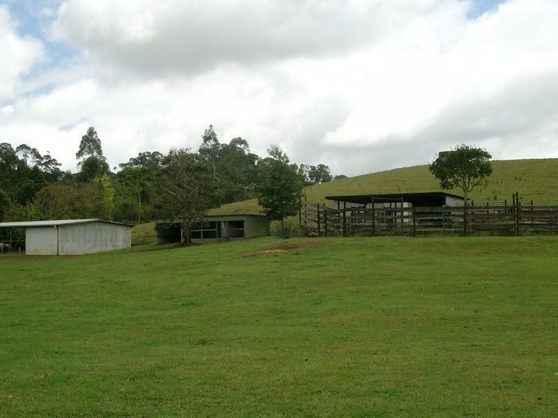 Rural Number 1108 Millaa Malanda Road, Malanda QLD 4885