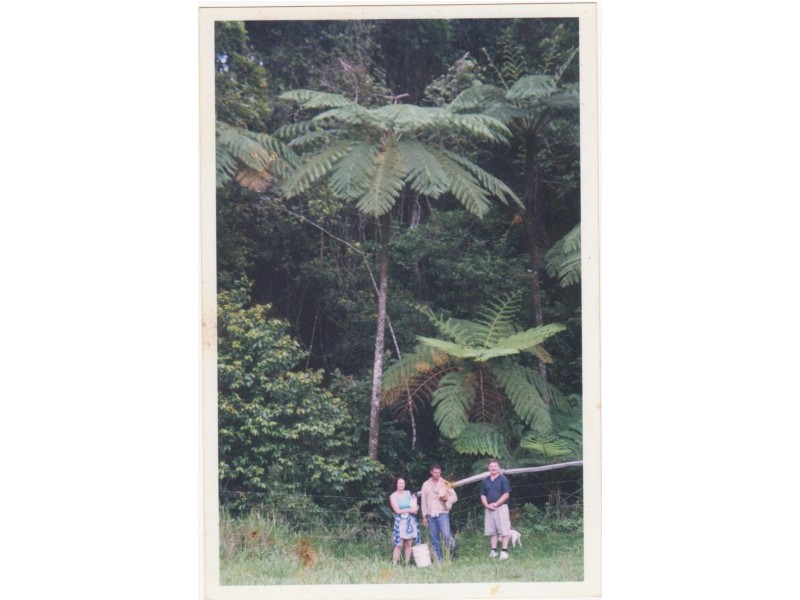 Rural Number 1108 Millaa Malanda Road, Malanda QLD 4885