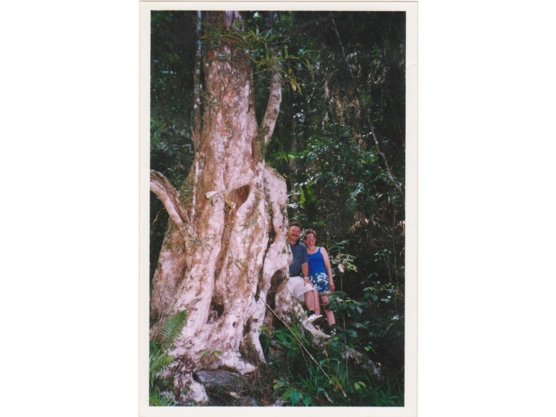 Rural Number 1108 Millaa Malanda Road, Malanda QLD 4885