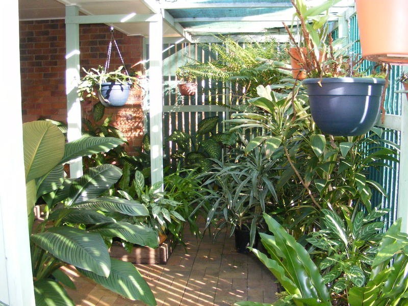 50 Casuarina Drive, Little Mountain QLD 4551