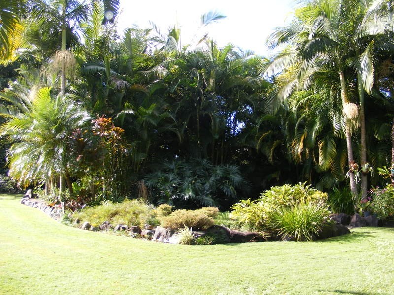 50 Casuarina Drive, Little Mountain QLD 4551