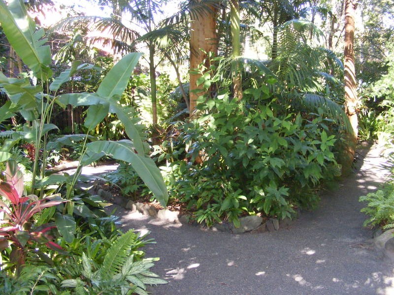 50 Casuarina Drive, Little Mountain QLD 4551