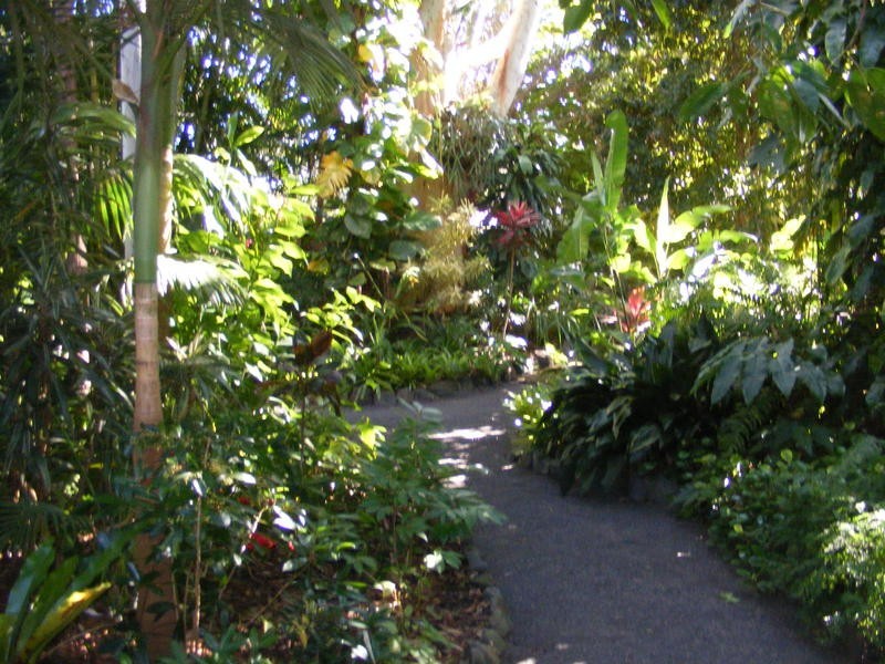 50 Casuarina Drive, Little Mountain QLD 4551