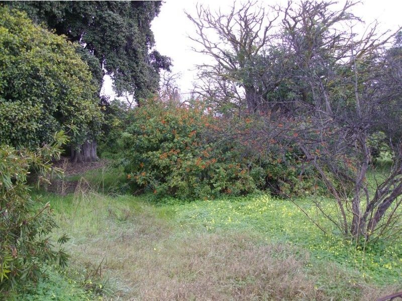 8 Hays Street, Goolwa SA 5214