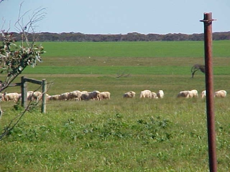 RSD 5 Coorabie Road, Coorabie SA 5690