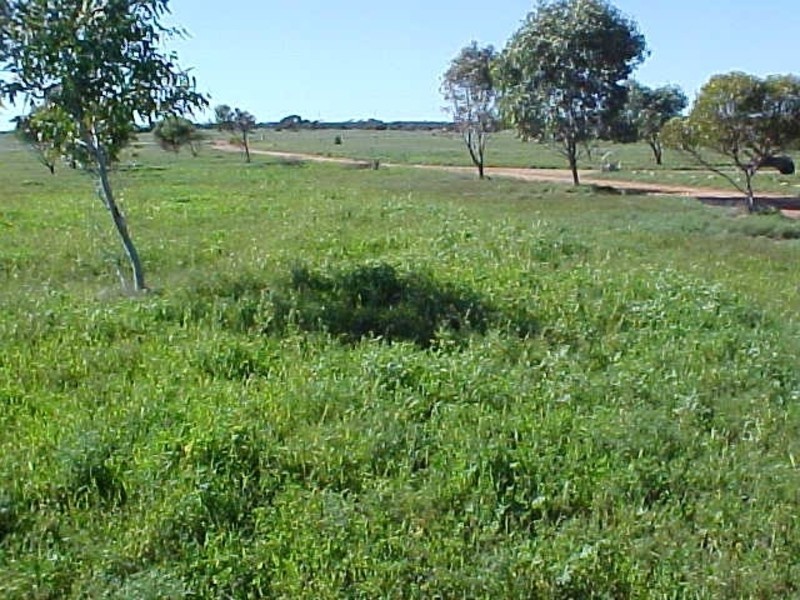 RSD 5 Coorabie Road, Coorabie SA 5690