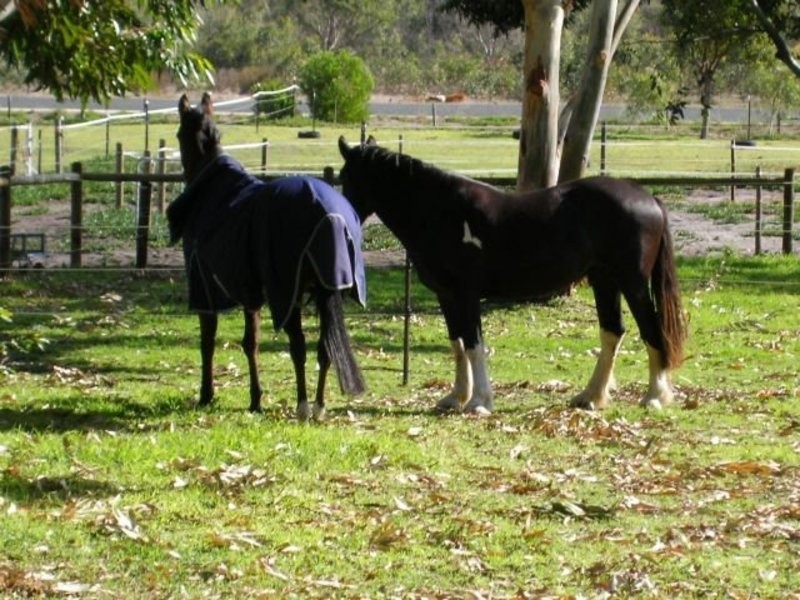 50 Adams Road, Mariginiup WA 6065