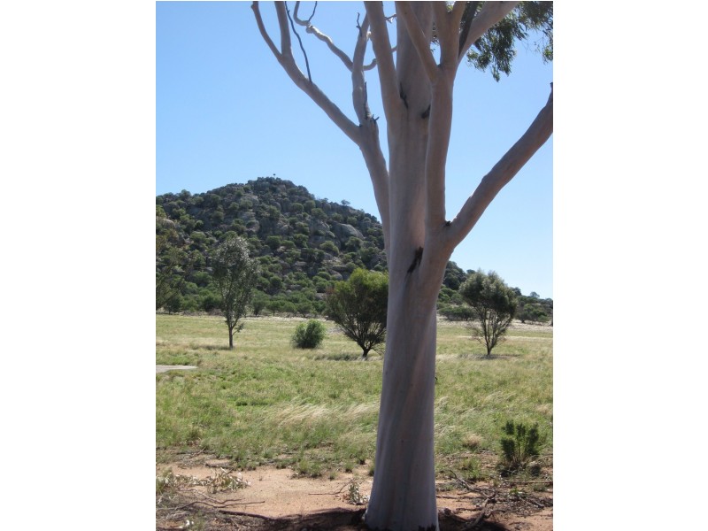 Pyramid Hill VIC 3575