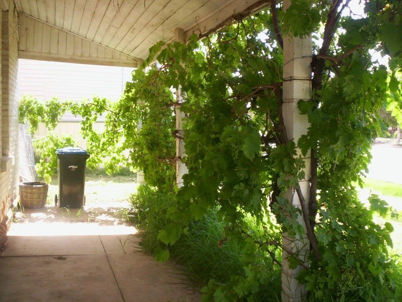 Pyramid Hill VIC 3575