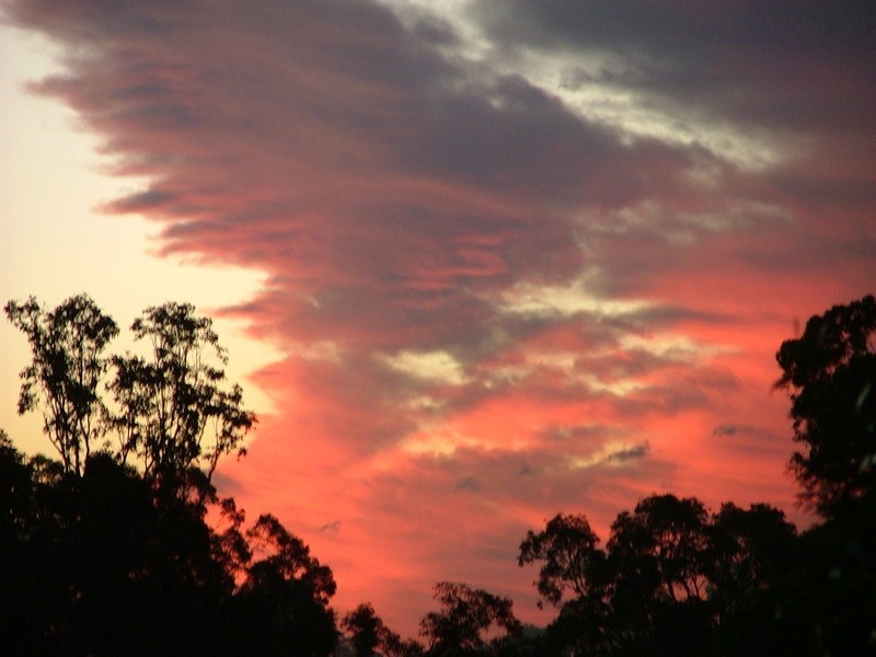 348 Chatswood Rd, Shailer Park QLD 4128