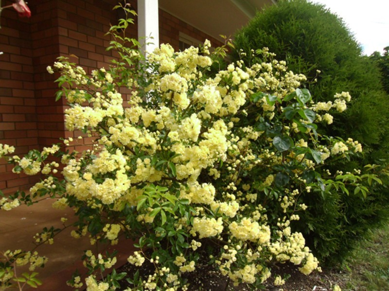 97 – 99 Old Hume Hiway, Braemar NSW 2575