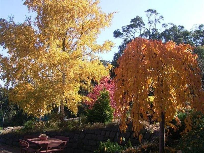 55 Outawood Rise, Gisborne South VIC 3437