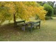 406 Backhouses Forest Road, Mogood NSW 2538