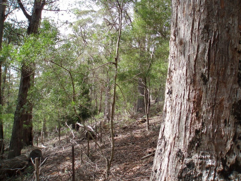 252 Groombridges Road, Kettering TAS 7155