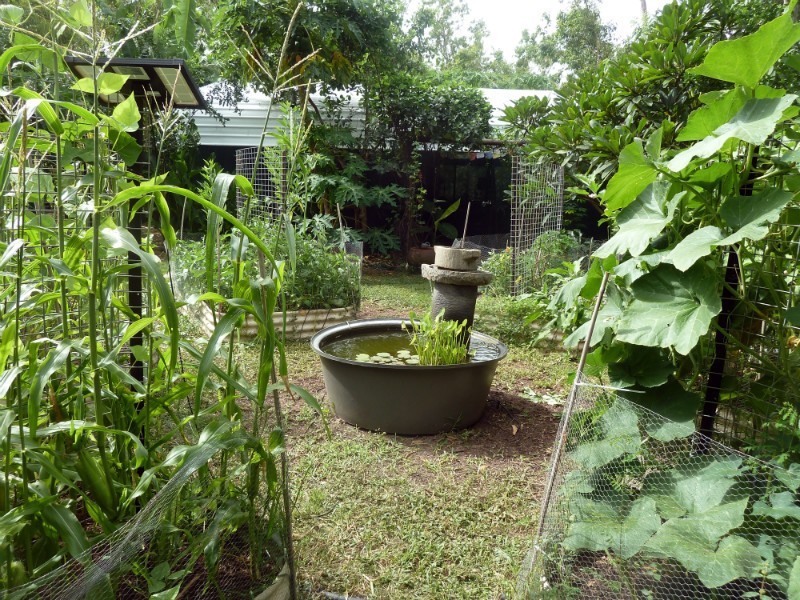 31 Honeysuckle Road, Herbert NT 0836