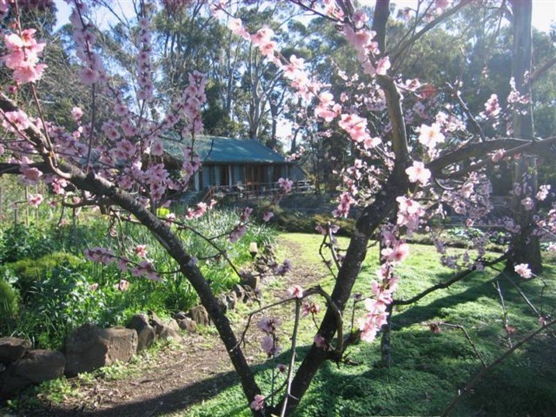 7-13 Sinclair St, West Launceston TAS 7250