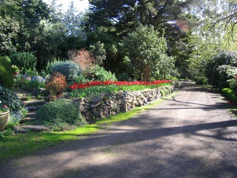 7-13 Sinclair St, West Launceston TAS 7250
